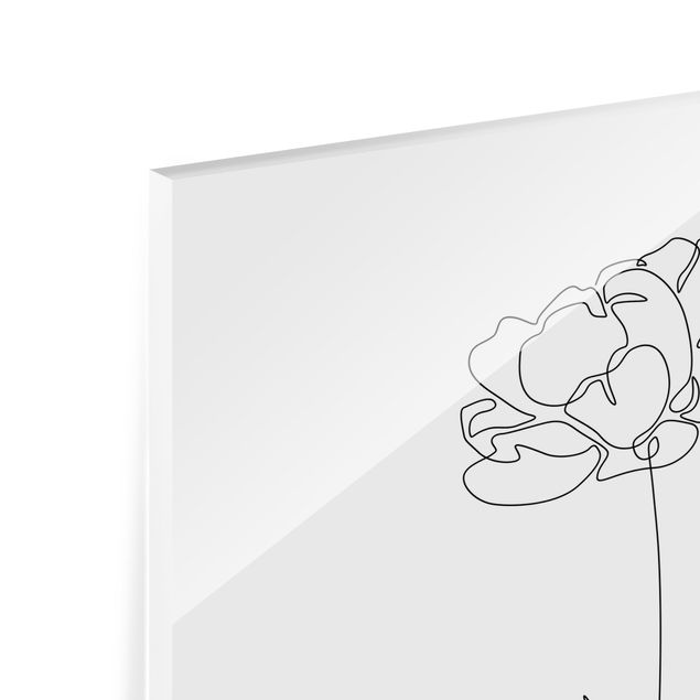 quadro de vidro Line Art Flowers - Peony