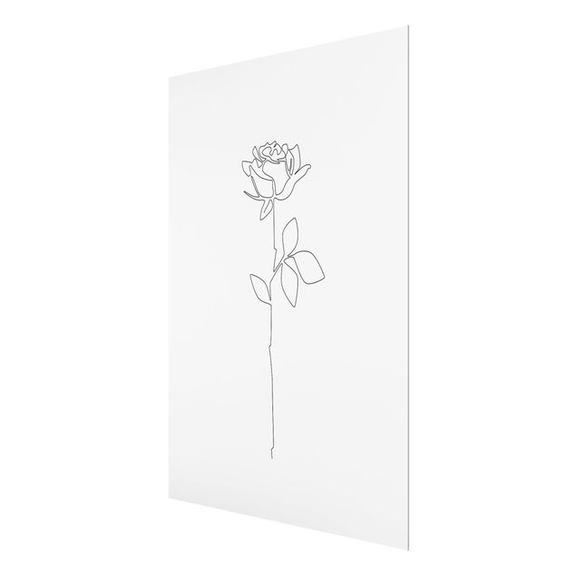 Quadros decorativos Line Art Flowers - Rose