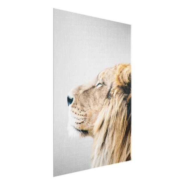 Quadros em vidro animais Lion Leopold