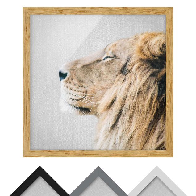 quadros em preto e branco Lion Leopold