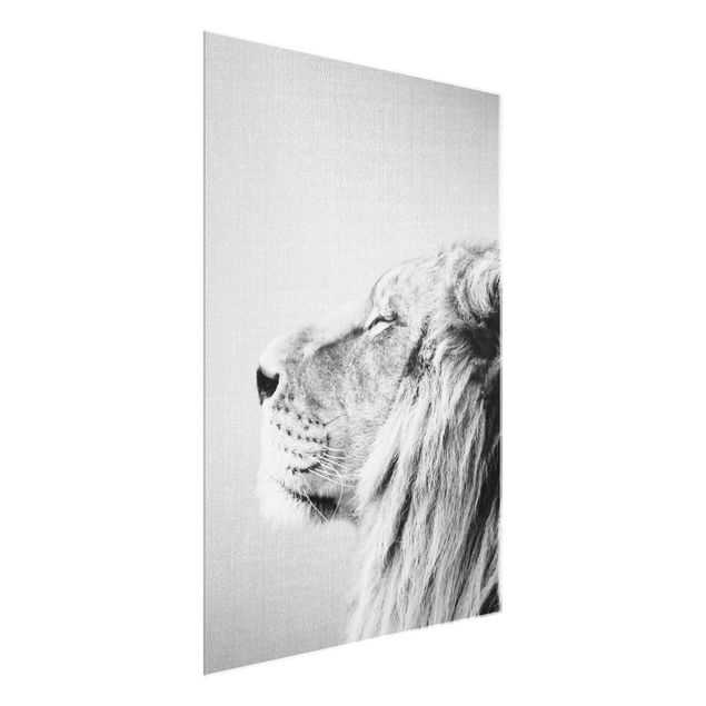 Quadros em vidro animais Lion Leopold Black And White