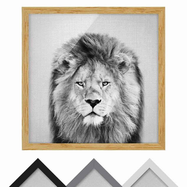 quadros em preto e branco Lion Linus Black And White