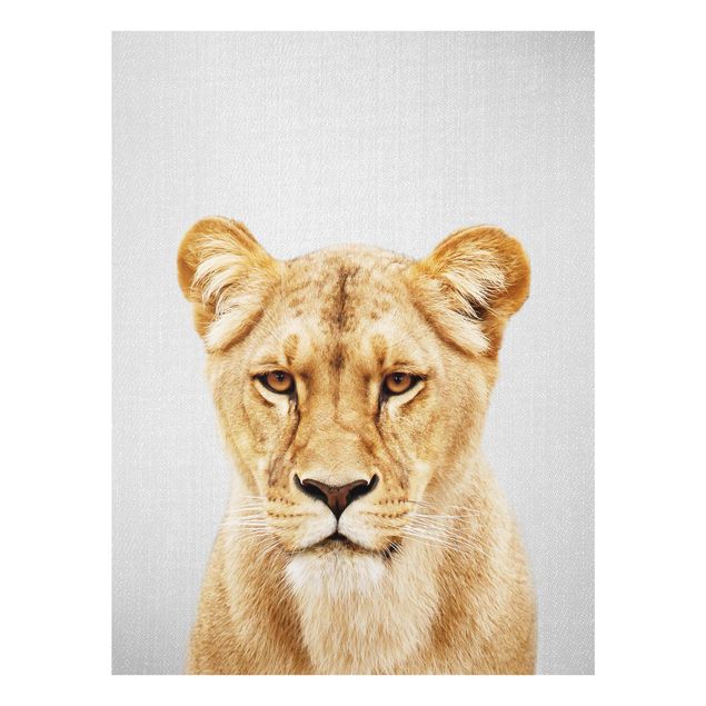 Quadros África Lioness Lisa