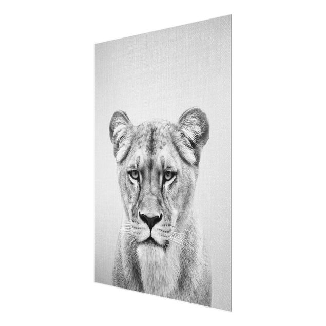 quadros preto e branco para decoração Lioness Lisa Black And White
