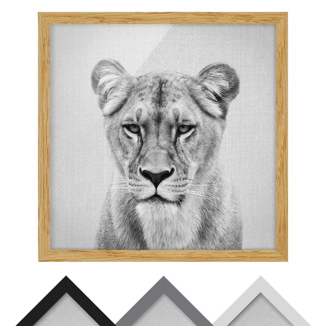 quadros em preto e branco Lioness Lisa Black And White