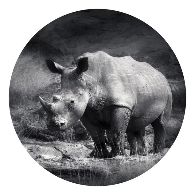 Papel de parede preto e branco Lonesome Rhinoceros