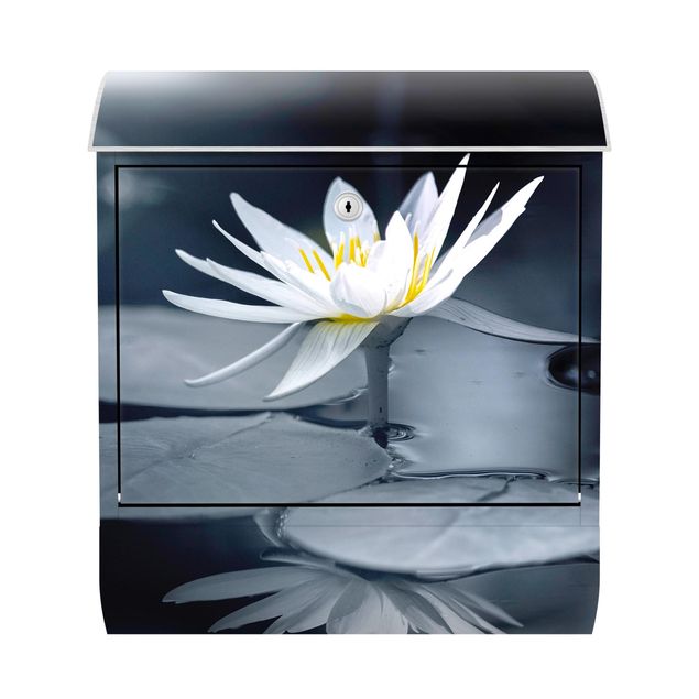 Caixas de correio em azul Lotus Reflection In The Water