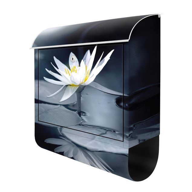 caixas de correio Lotus Reflection In The Water