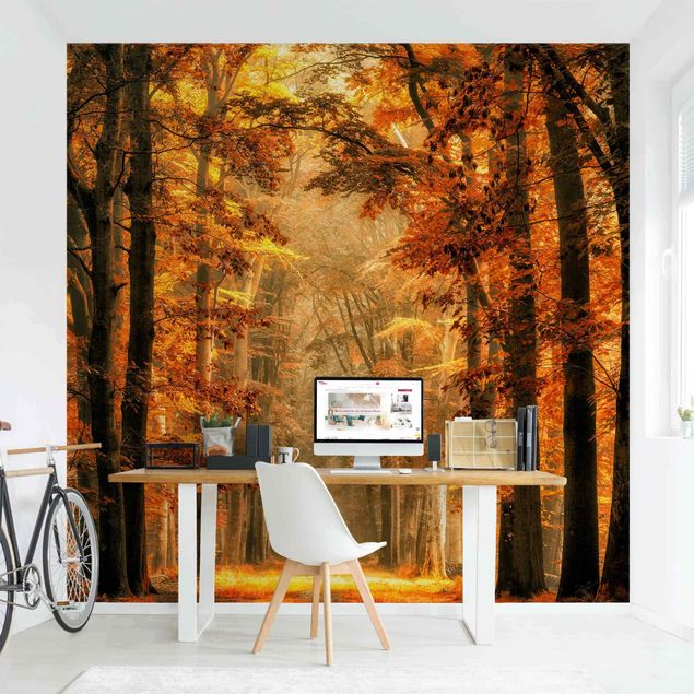 papel de parede moderno Enchanted Forest In Autumn