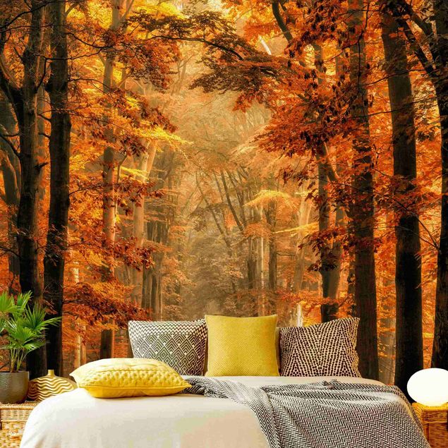 Papel de parede paisagens Enchanted Forest In Autumn