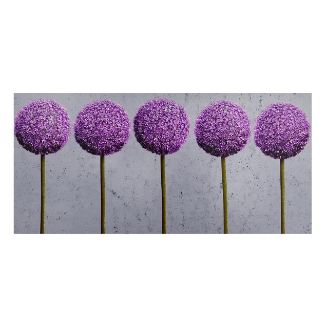 Quadros magnéticos flores Allium Round-Headed Flower