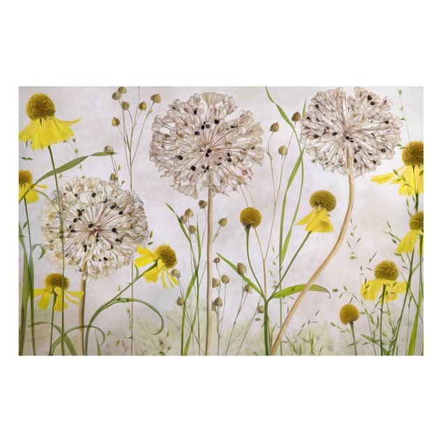 Quadros magnéticos flores Allium And Helenium Illustration