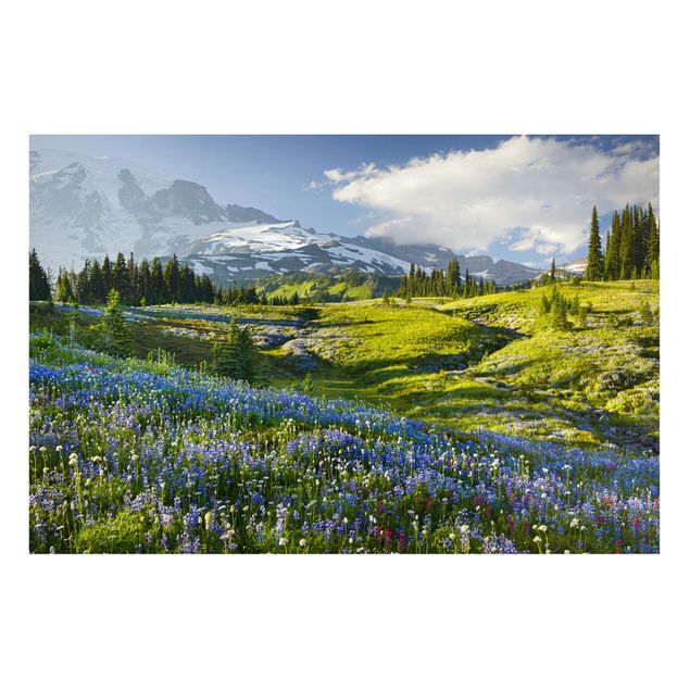 Quadros montanhas Mountain Meadow With Blue Flowers in Front of Mt. Rainier