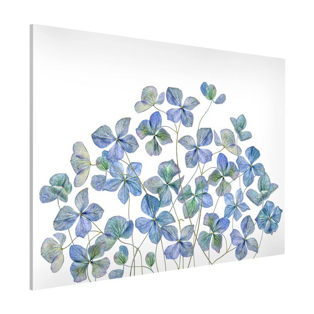 decoraçoes cozinha Blue Hydrangea Flowers