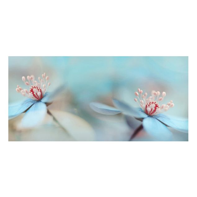 Quadros magnéticos flores Flowers In Light Blue