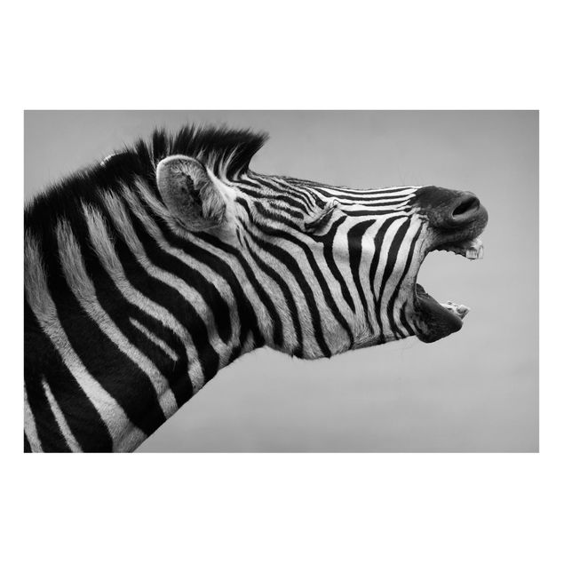 Quadros zebras Roaring Zebra ll