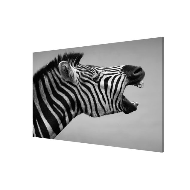 Quadros magnéticos animais Roaring Zebra ll