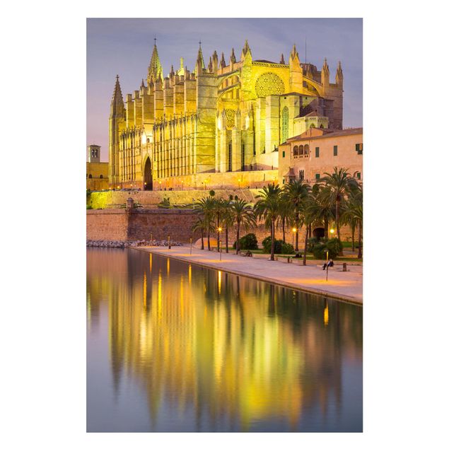 quadros com gatos Catedral De Mallorca Water Reflection