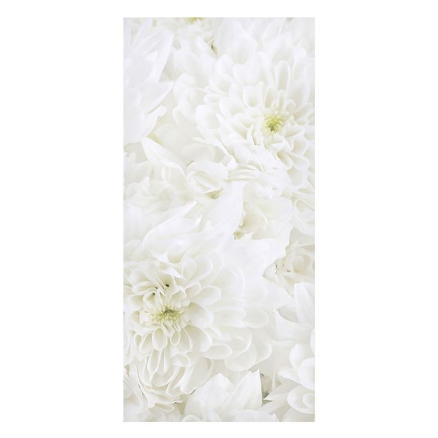 Quadros magnéticos flores Dahlias Sea Of Flowers White