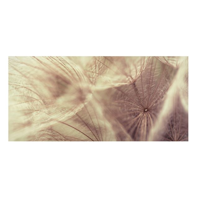 Quadros magnéticos flores Detailed Dandelion Macro Shot With Vintage Blur Effect