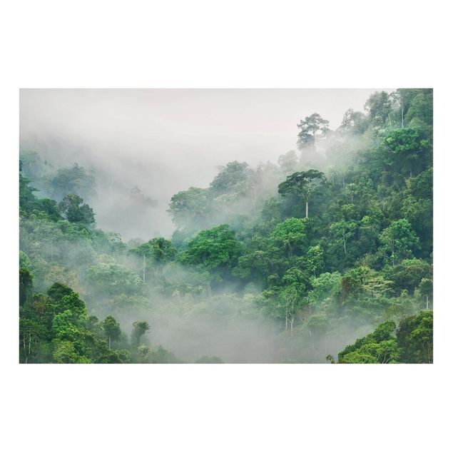 quadro com árvore Jungle In The Fog
