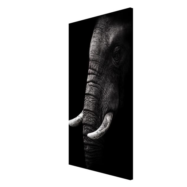 quadros de paisagens Dark Elephant Portrait