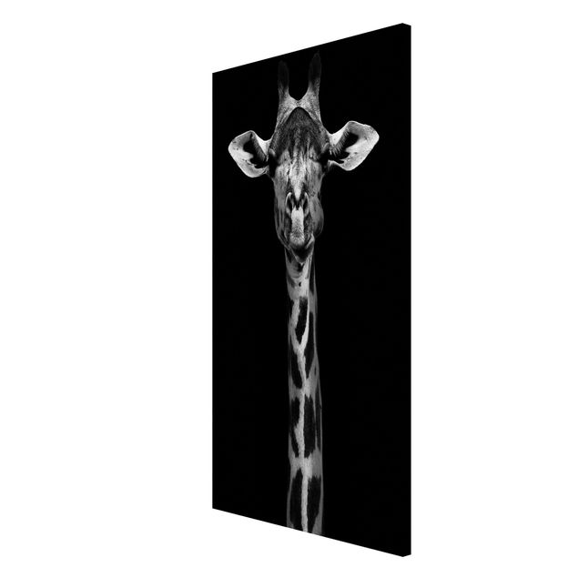 Quadros magnéticos animais Dark Giraffe Portrait
