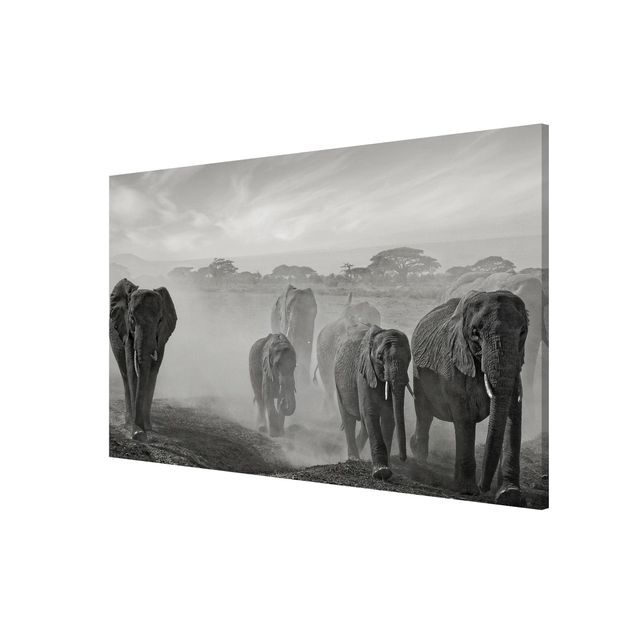 quadros de paisagens Herd Of Elephants