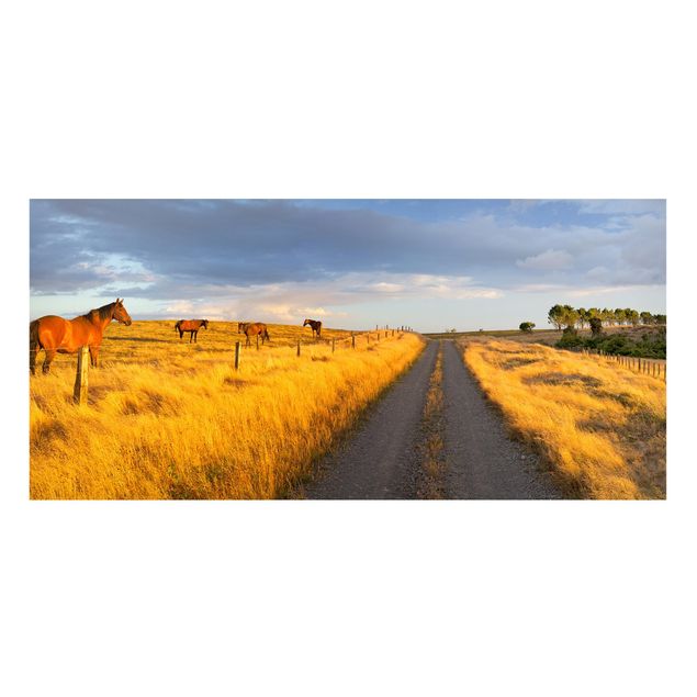 quadro de cavalo Field Road And Horse In Evening Sun