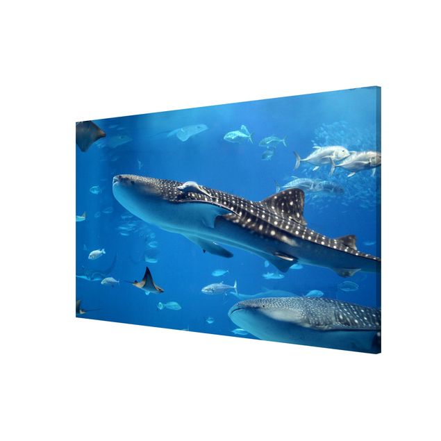 quadros modernos para quarto de casal Fish in the Sea