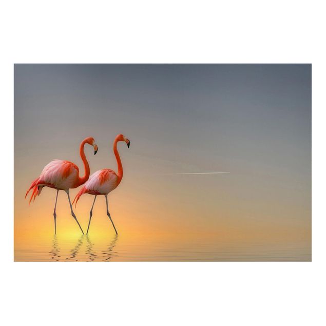 Quadros magnéticos animais Flamingo Love
