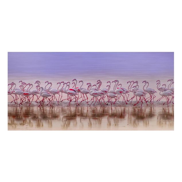 Quadros magnéticos animais Flamingo Party
