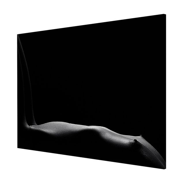 Quadros retratos Nude in the Dark