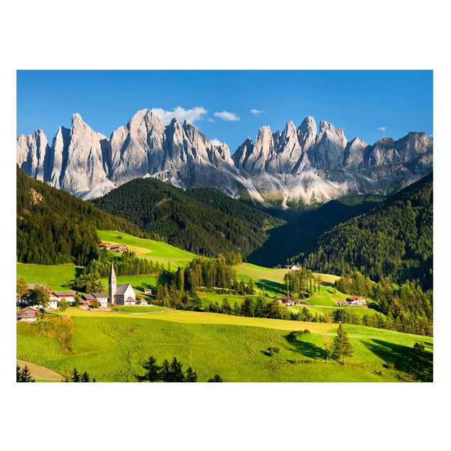 quadro de árvore Odle In South Tyrol