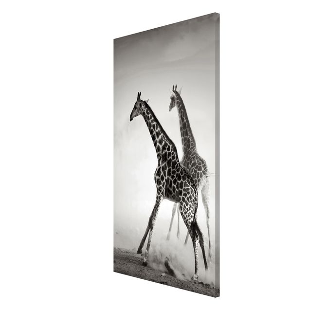 Quadros magnéticos animais Giraffe Hunt