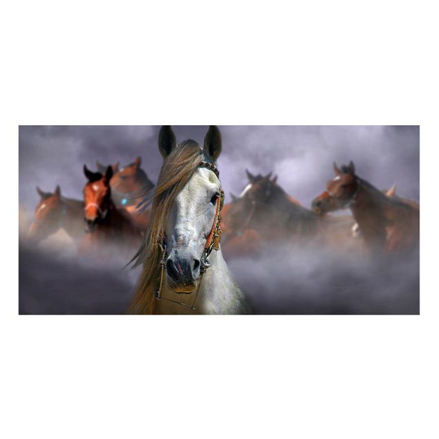 Quadros magnéticos animais Horses in the Dust