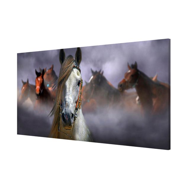 quadros modernos para quarto de casal Horses in the Dust