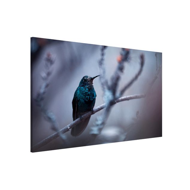 decoraçao para parede de cozinha Hummingbird In Winter