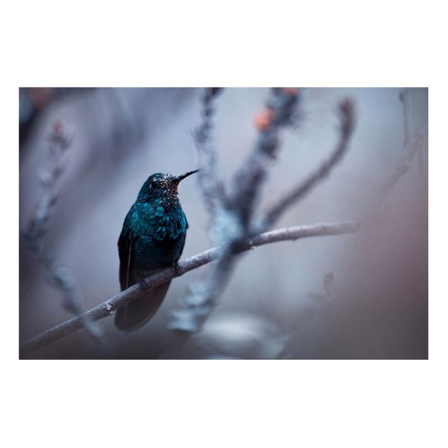 Quadros magnéticos animais Hummingbird In Winter