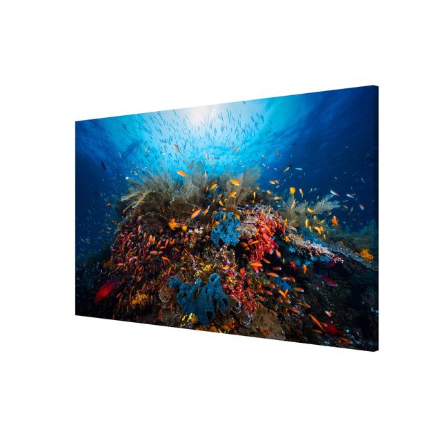 quadros decorativos para sala modernos Lagoon Underwater