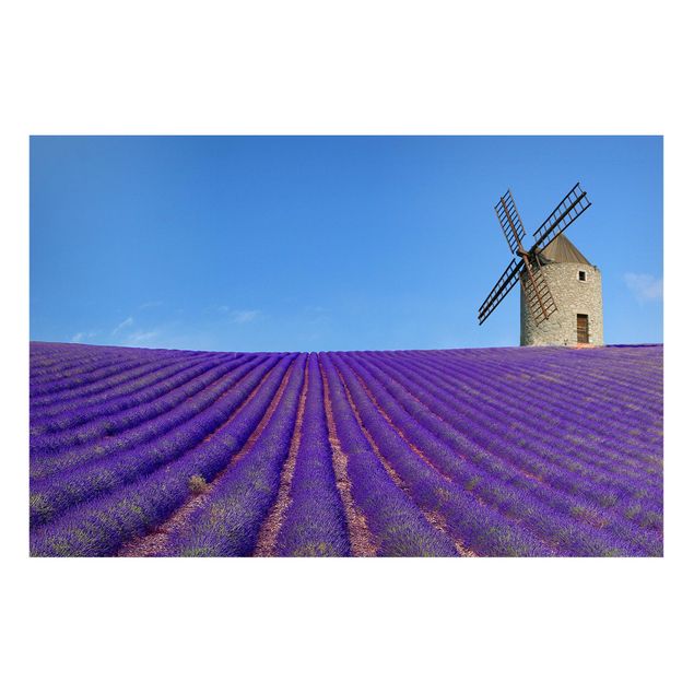 quadro com paisagens Lavender Scent In The Provence