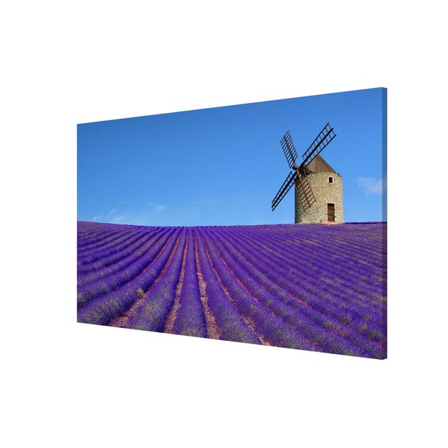 Quadros natureza Lavender Scent In The Provence