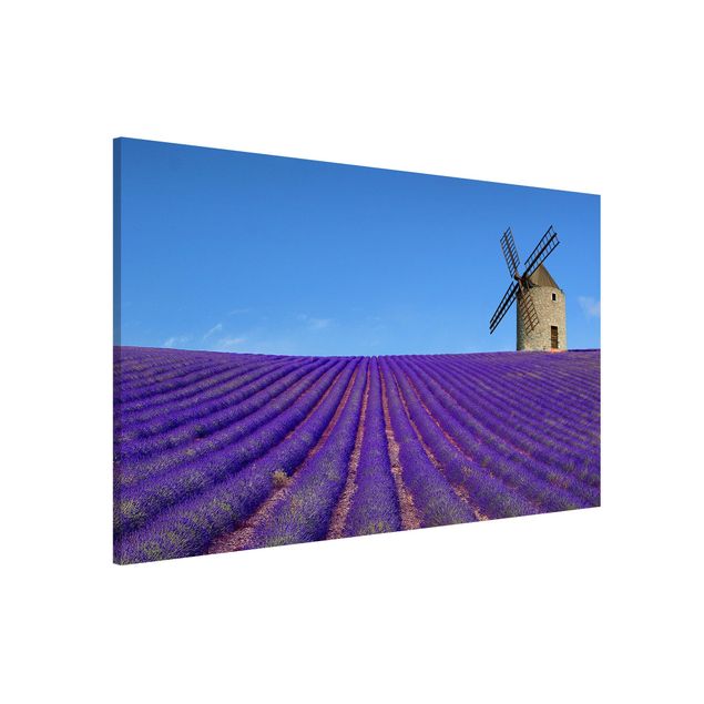 decoraçao para parede de cozinha Lavender Scent In The Provence