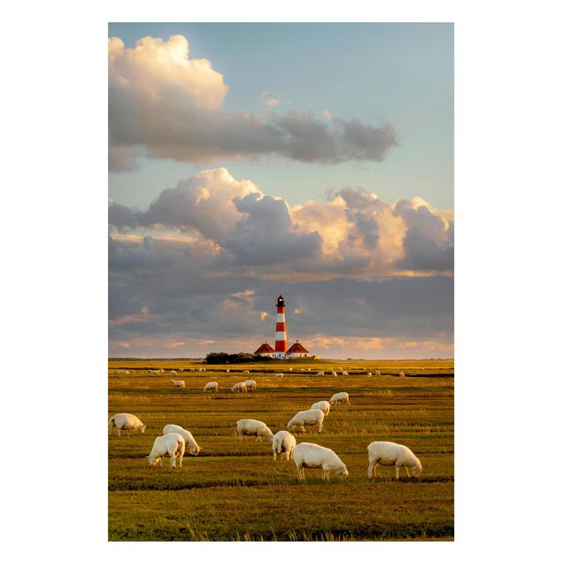 quadro com paisagens North Sea Lighthouse With Flock Of Sheep