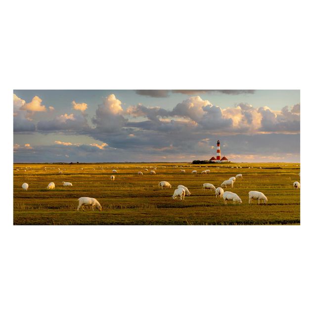 quadro com paisagens North Sea Lighthouse With Flock Of Sheep