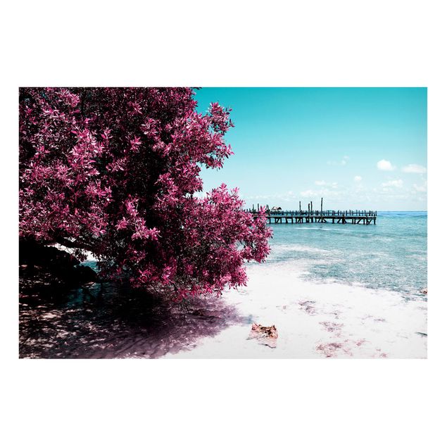 quadro com paisagens Paradise Beach Isla Mujeres