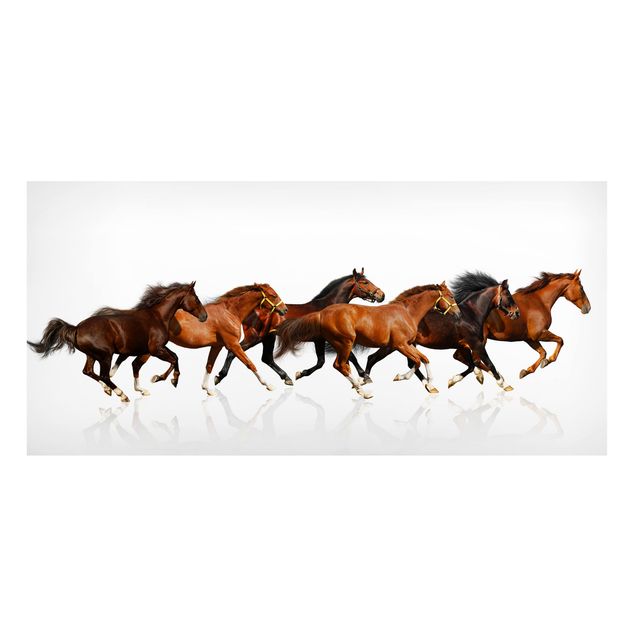 quadro de cavalo Horse Herd