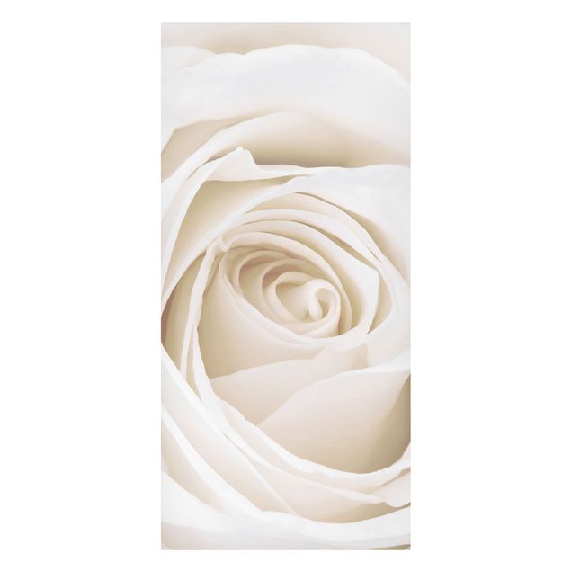 Quadros magnéticos flores Pretty White Rose