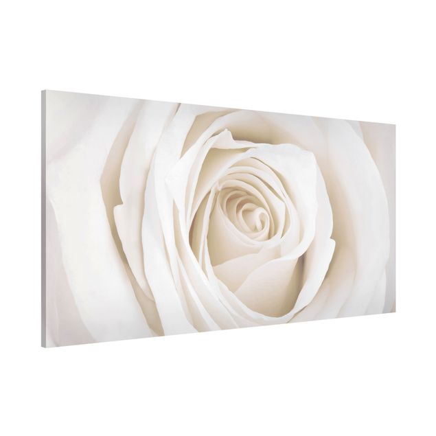 decoraçao para parede de cozinha Pretty White Rose