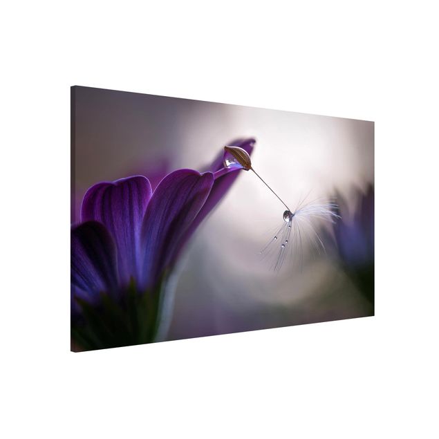 Quadros magnéticos flores Purple Rain
